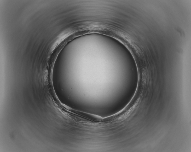 X0000112511066200908171329