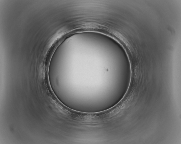 X0000112511067200908171329