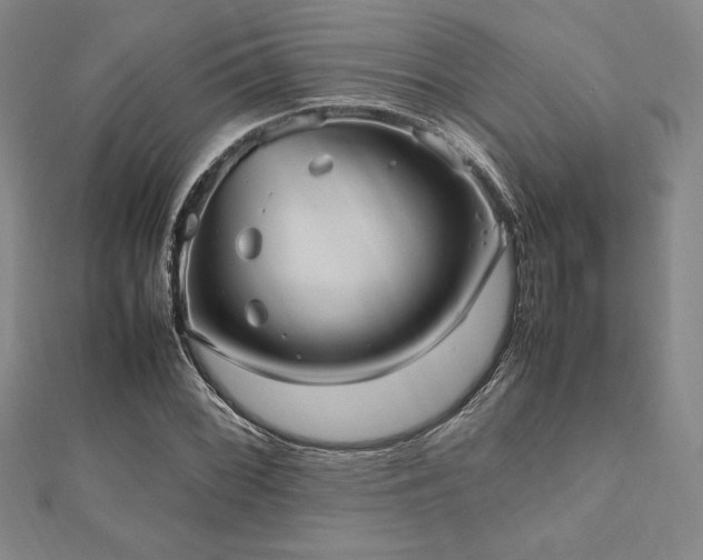 X0000112511068200908171329