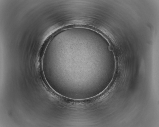 X0000112511070200908171329
