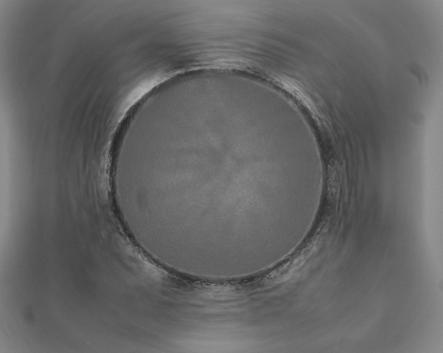 X0000112511071200908171329