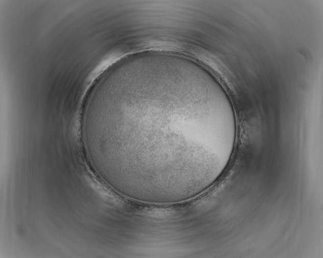X0000112511074200908171329