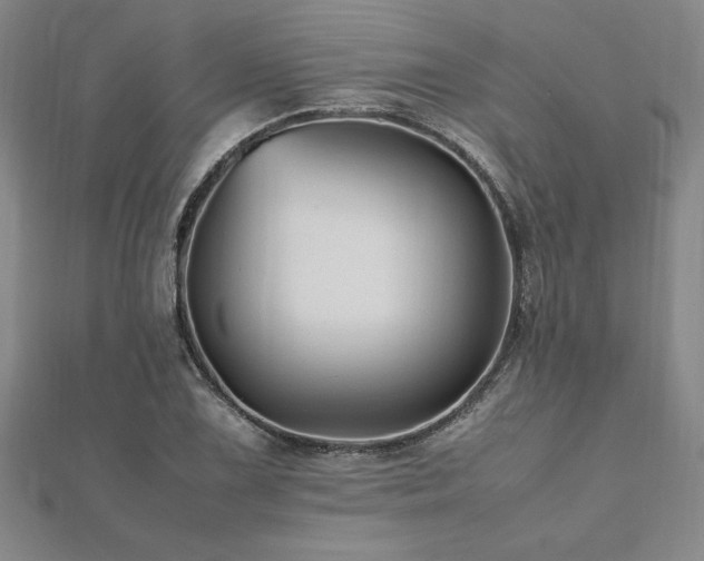 X0000112511075200908171329