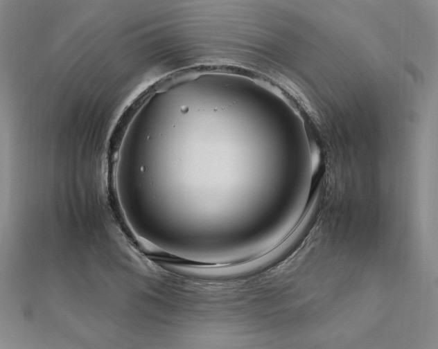 X0000112511076200908171329