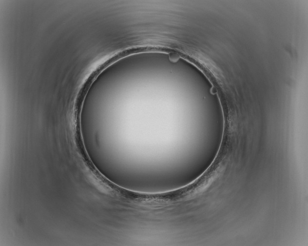 X0000112511077200908171329