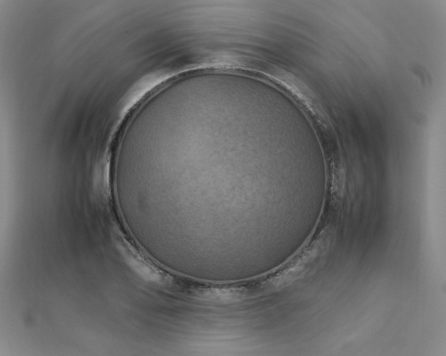 X0000112511078200908171329