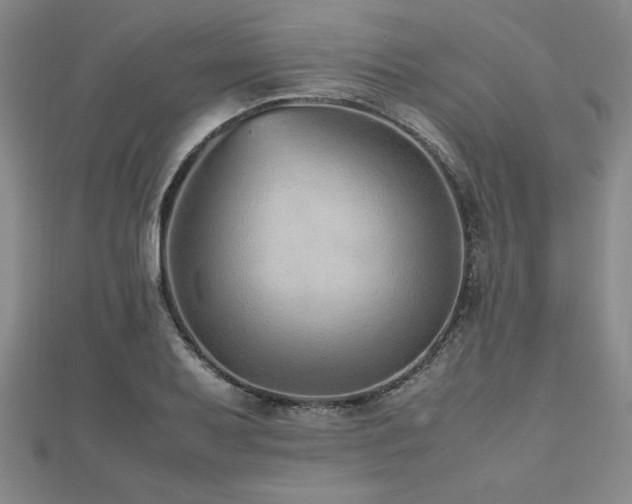 X0000112511079200908171329
