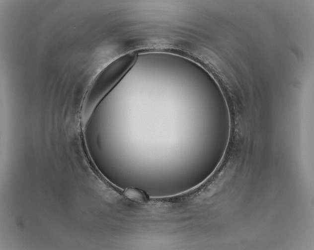 X0000112511081200908171329