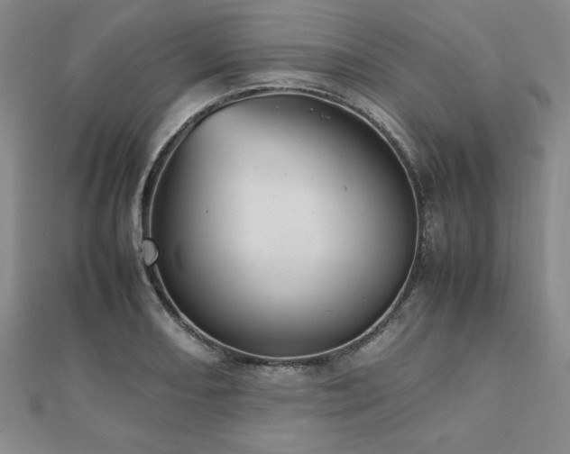 X0000112511082200908171329