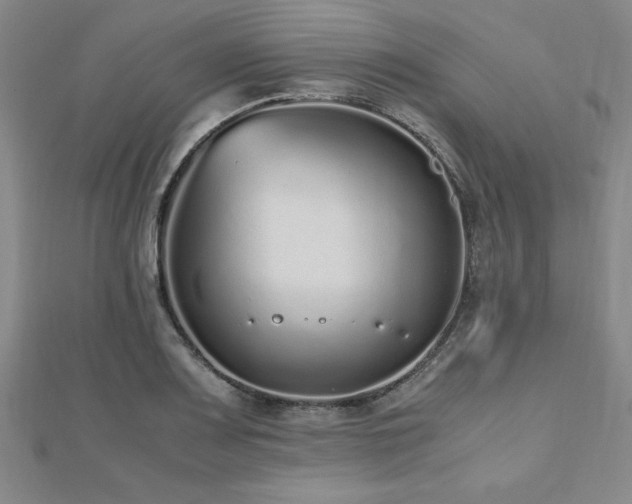 X0000112511083200908171329