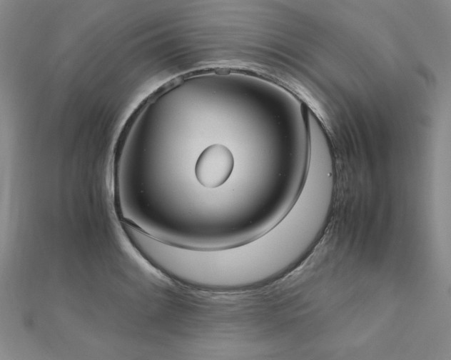 X0000112511084200908171329