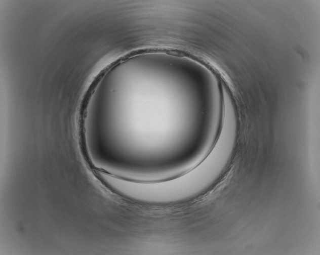 X0000112511085200908171329