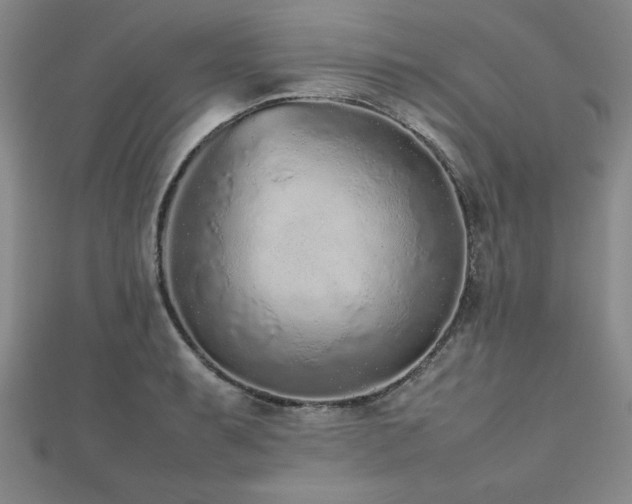 X0000112511087200908171329