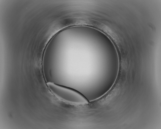 X0000112511089200908171329