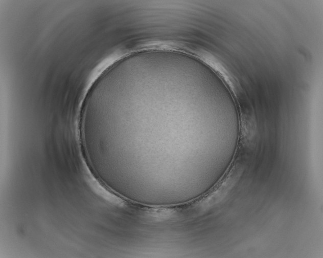 X0000112511090200908171329