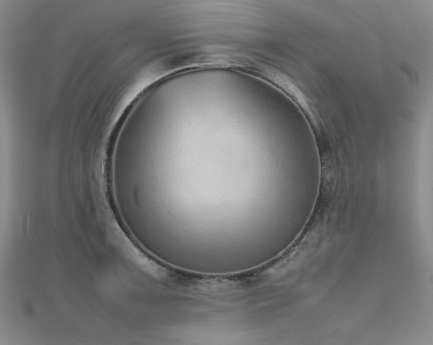 X0000112511091200908171329