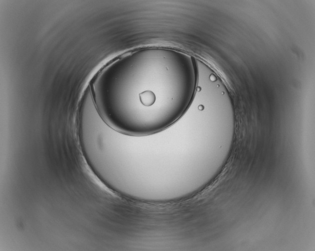 X0000112511092200908171329