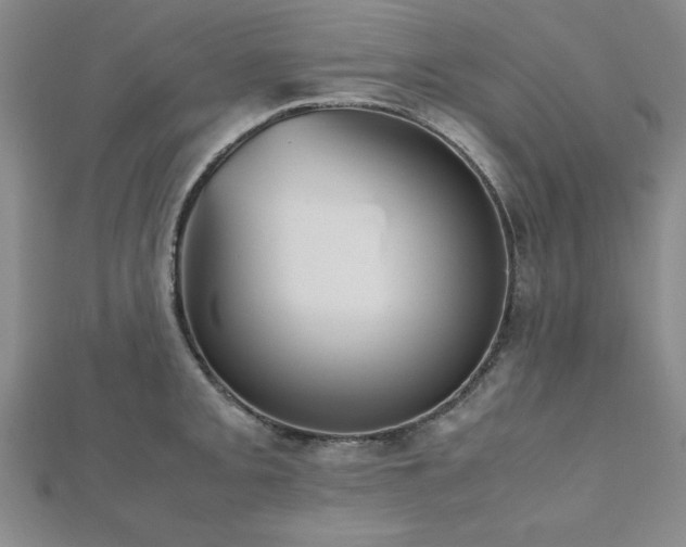 X0000112511093200908171329