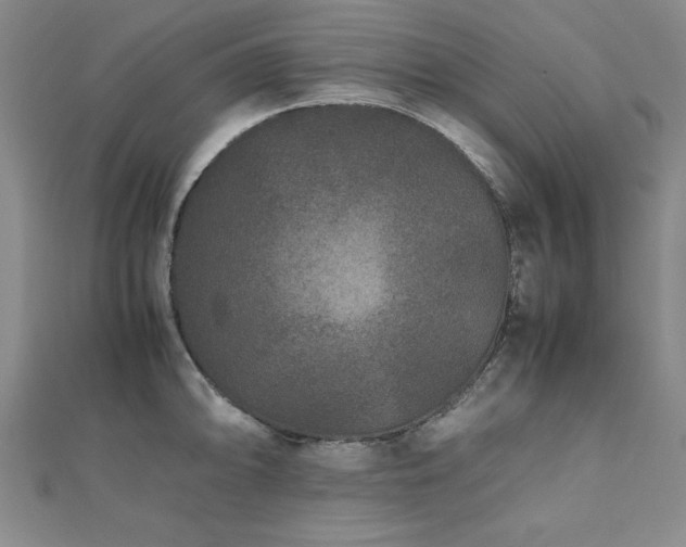 X0000112511094200908171329