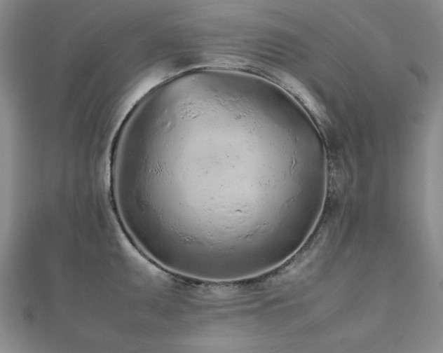 X0000112511095200908171329