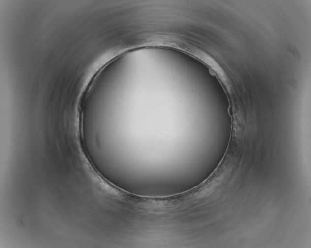 X0000112511096200908171328
