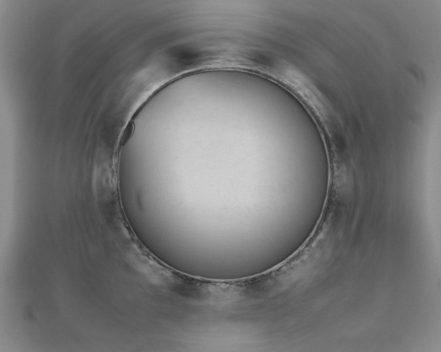 X0000112511097200908171328