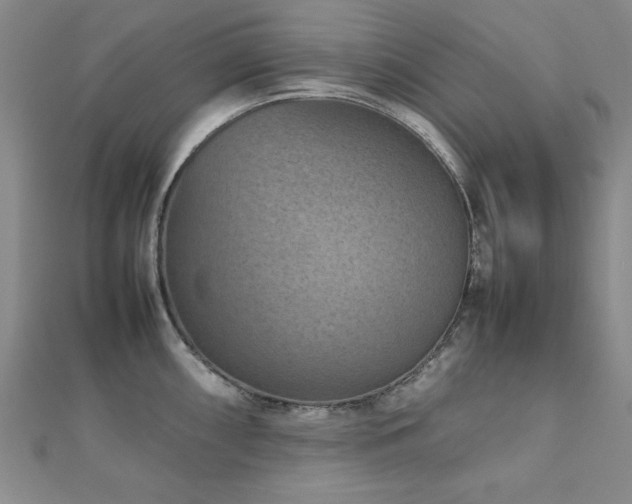 X0000112511098200908171328