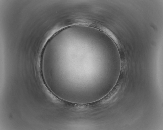 X0000112511099200908171328