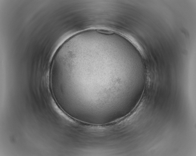 X0000112511100200908171328