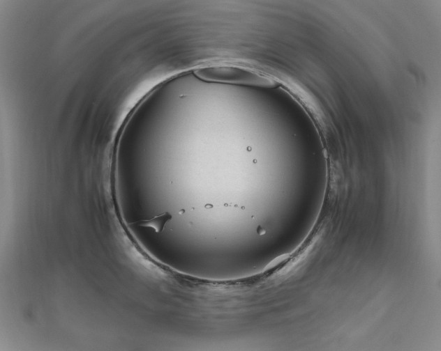 X0000112511102200908171328