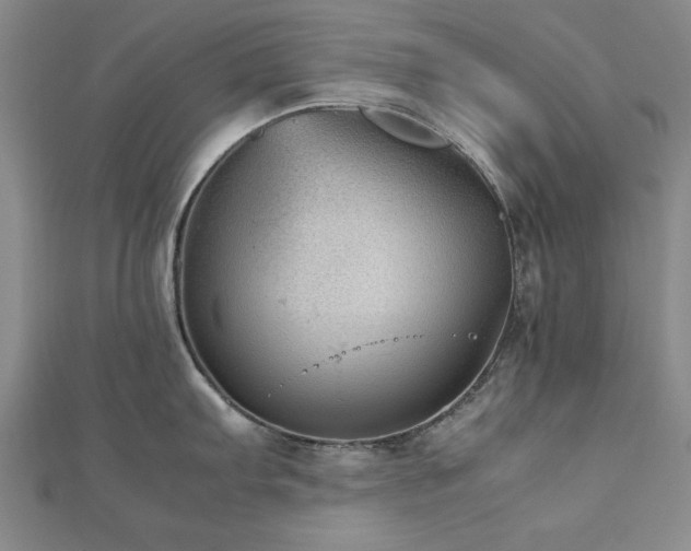 X0000112511103200908171328