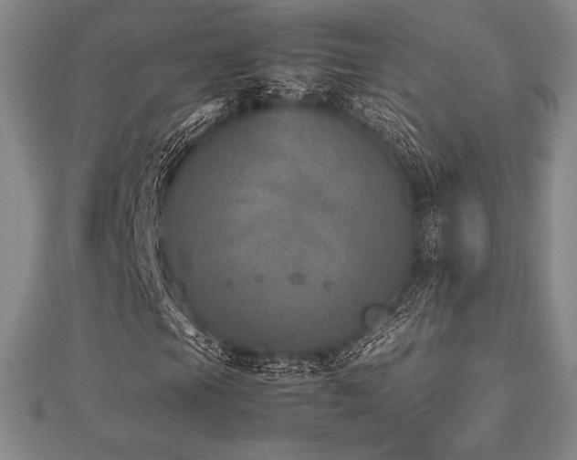 X0000112511105200908171327