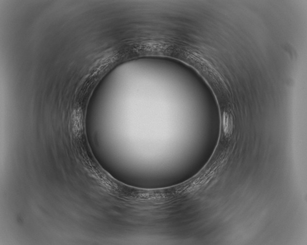X0000112511107200908171328