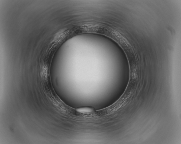X0000112511108200908171328