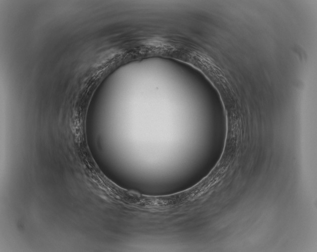 X0000112511109200908171328