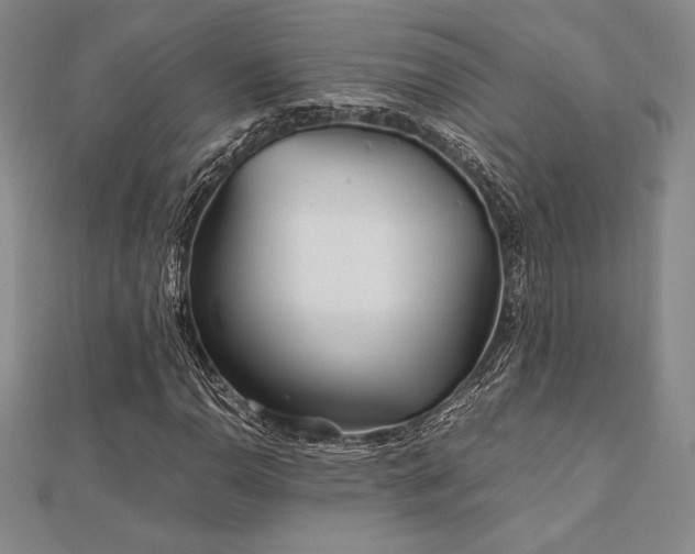 X0000112511110200908171328