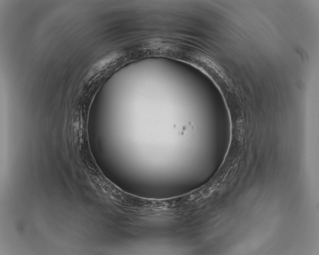 X0000112511111200908171328