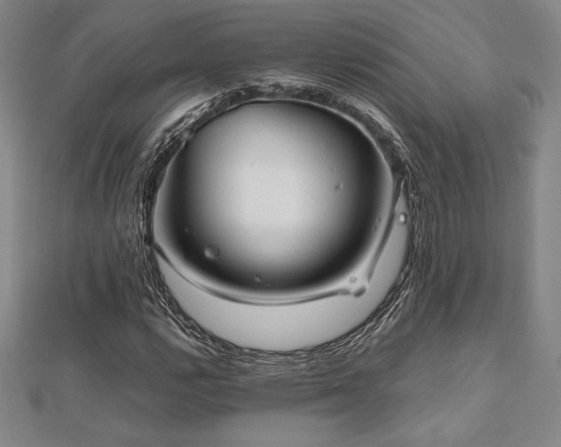 X0000112511112200908171328