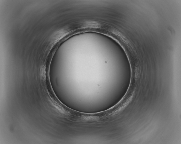 X0000112511113200908171328