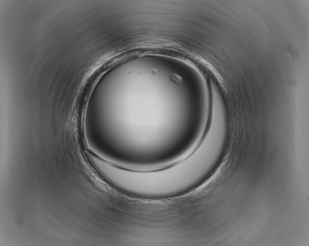 X0000112511114200908171328
