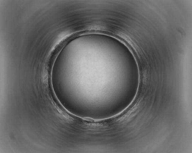 X0000112511115200908171328