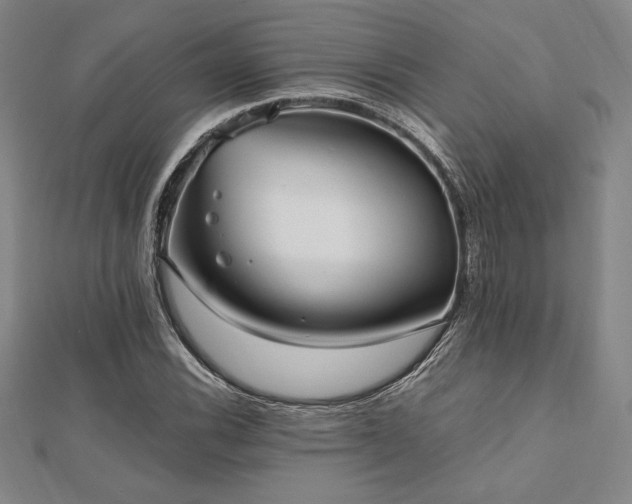 X0000112511116200908171328