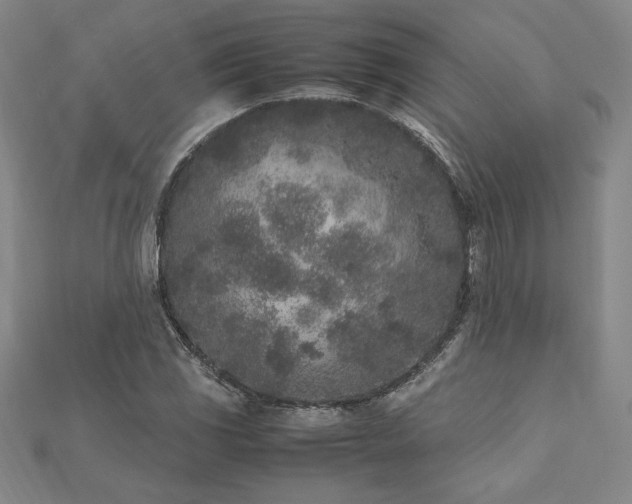X0000112511117200908171328