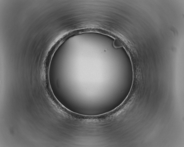 X0000112511118200908171328