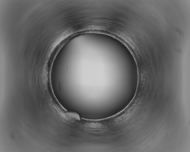 X0000112511119200908171328