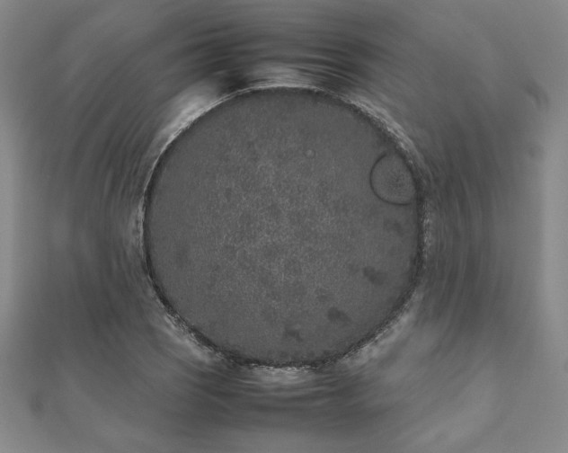 X0000112511121200908171328