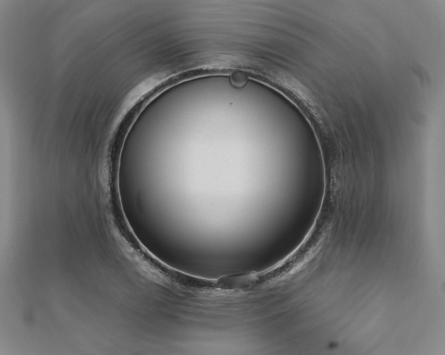 X0000112511122200908171328
