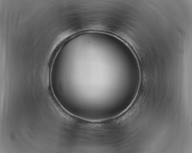 X0000112511123200908171328