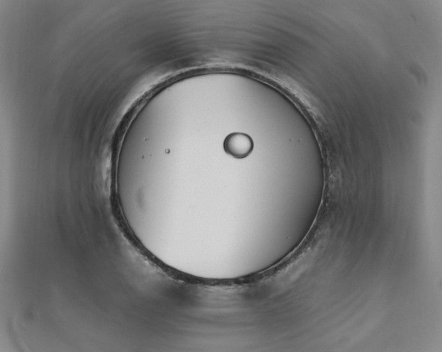 X0000112511126200908171328