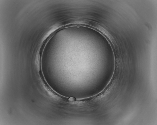 X0000112511127200908171328